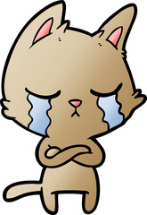 crying cartoon cat with folded arms