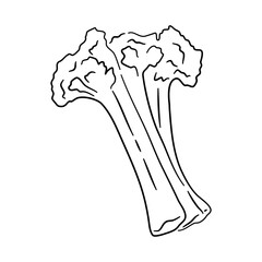 Hand-drawn black sketch of celery in a doodle icon. Vector illustration.