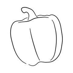 Doodle-style icon featuring a hand-drawn black sketch of a pepper. Vector illustration.