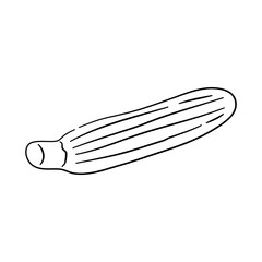 Doodle-style icon showcasing a hand-drawn black sketch of a zucchini. Vector Illustration.