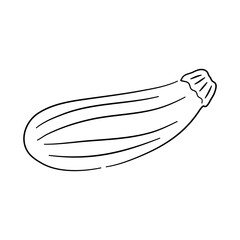Vector illustration of a zucchini in a hand-drawn black sketch. Doodle icon.