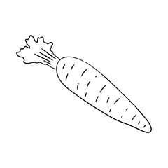 Hand-drawn black sketch of a carrot in a doodle icon. Vector illustration.