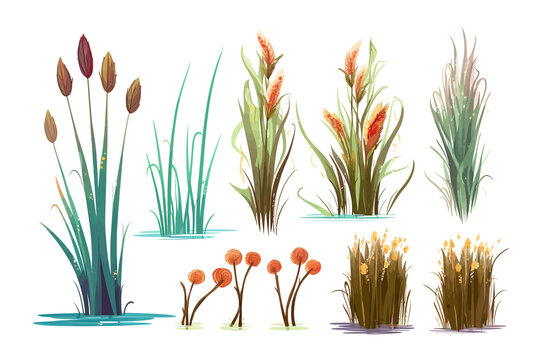 Marsh reed, grass. Set of swamp cattails, water lily in water. Generative AI