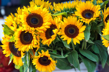 Fototapeta premium sunflowers at a farmers market