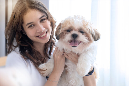 Teen girl holding and playing with her pet dog, Shih Tzu puppy and teen girl play fun at home, lovely pet