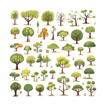 trees flat vector illustrations set. Exotic beach plants isolated design elements pack. Green leaves branches and trunks cartoon collection on white background.