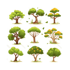 trees flat vector illustrations set. Exotic beach plants isolated design elements pack. Green leaves branches and trunks cartoon collection on white background.