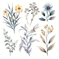 set of floral watercolor smoky grey