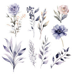 set of floral watercolor smoky grey