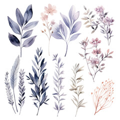 set of floral watercolor smoky grey