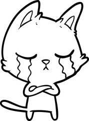 crying cartoon cat