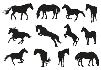 Set of horse silhouettes collection vector shapes illustration
