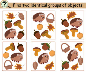 Obraz premium Find two identical groups of objects. Educational logical game for children with hedgehog, nuts, autumn leaves. Vector illustration.