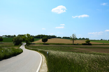 Country road with blue sky, clouds and trees in the Dachau hinterland, Bavaria, near Munich