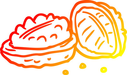 warm gradient line drawing of a walnuts