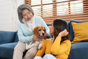 Asian senior woman and young female playing with their beagle dog in the living room at cozy home....