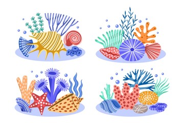 Color doodles seashells and algae. Marine compositions, tropical conchas with ocean seaweeds, decorative corals and shells, vector set