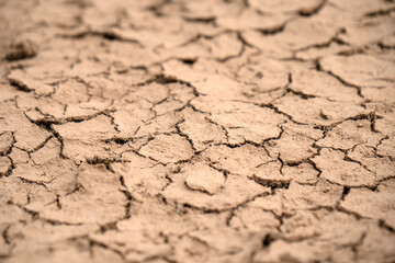 Fototapeta premium Dry and crack soil .