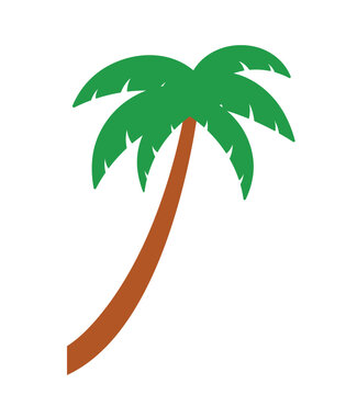 Palm and Coconut Tree Plant Cartoon for Summer Vector Illustration Element