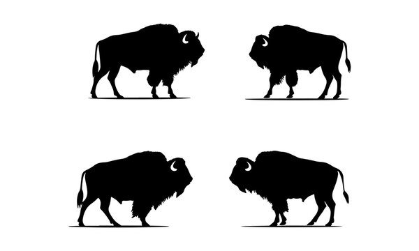 Bison Silhouette Side view vector