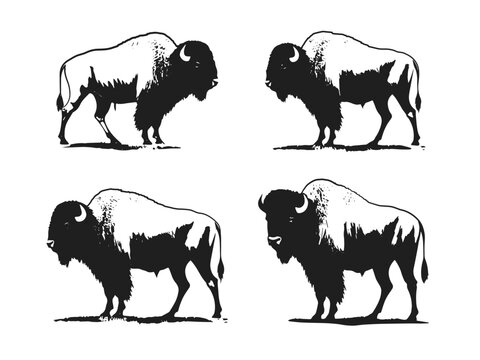 Set of American bison silhouette