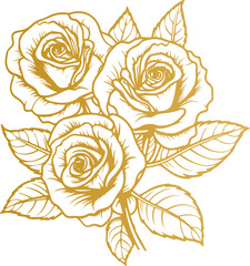 Hand drawn roses. Sketch rose flowers with buds, leaves and stems . golden vintage etching vector botanical isolated on transparent. Illustration of rose petal, sketch botany floral plant, PNG and SVG