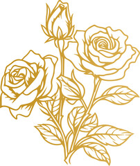Hand drawn roses. Sketch rose flowers with buds, leaves and stems . golden vintage etching vector botanical isolated on transparent. Illustration of rose petal, sketch botany floral plant, PNG and SVG