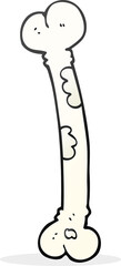 freehand drawn cartoon bone