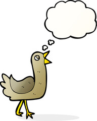 cartoon bird with thought bubble