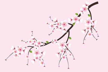 Vector cherry blossom branch with sakura flower.cherry blossom  with cherry bud and pink sakura flower - obrazy, fototapety, plakaty
