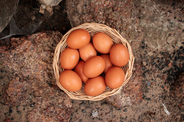 Chicken eggs in a wicker basket