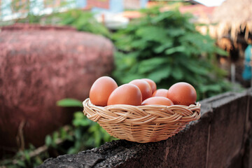 Chicken eggs in a wicker basket