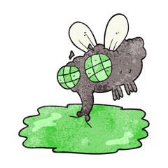 freehand textured cartoon gross fly