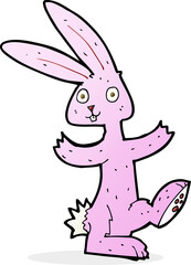 cartoon rabbit