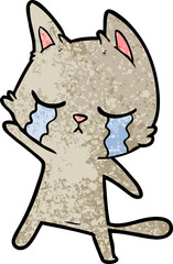 crying cartoon cat