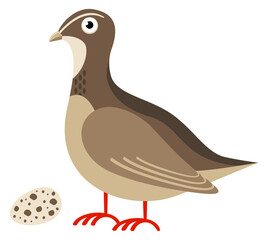 Quail cartoon icon. Gray bird with spotty egg