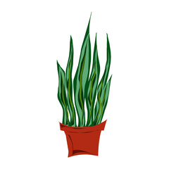 Sansevieria in a pot, flаt style illustration. Element for design
