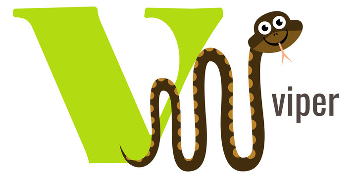 V letter card. Viper animal alphabet vocabulary