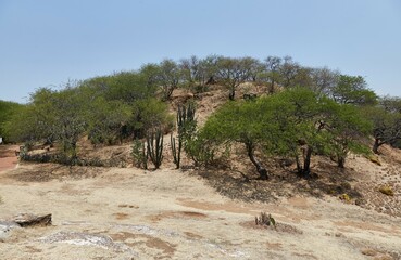 Tomb findings from Zaachila, Oaxaca, on display at Mexico City's National Museum of Anthropology