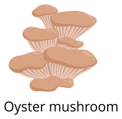 Oyster mushroom cartoon icon. Autumn forest fungus