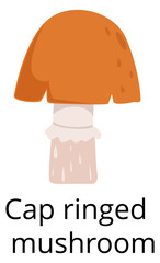 Cap ringed mushroom icon. Forest season symbol
