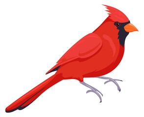 Cardinal bird icon. Red feathers wild animal