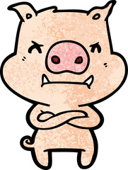 angry cartoon pig