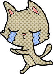 crying cartoon cat running