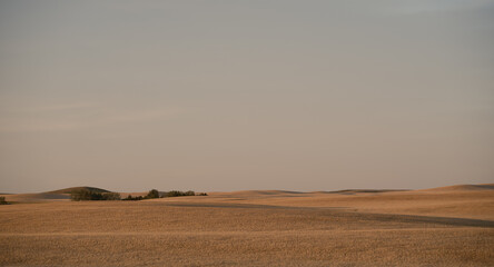 Fototapeta na wymiar Beautiful early evening light covers the great Plains in Alberta Canada known as Canada's breadbasket