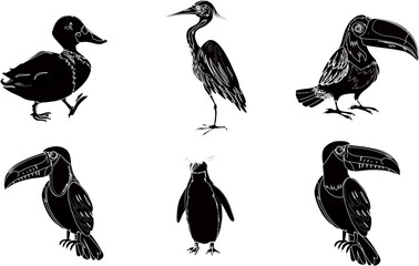 collection of birds