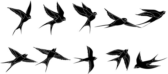 set of silhouettes of birds