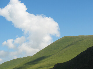 beautiful, beauty, embroidery, fashion, red, accessory, white, silver base, silver, ribbon chain, plastic canvas, necklace, yellow, jewelry, jewellery, handmade, green, flower, cross stitch, blue, mic