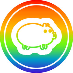 fat pig circular icon with rainbow gradient finish