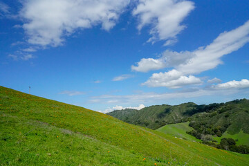 Fototapeta na wymiar Beautiful day hiking at Las Trampas in San Ramon, California